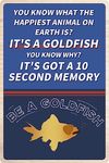 Flinelife Be A Goldfish Metal Sign, 12 x 8, Be A Goldfish Motivational Wall Art Decor - Perfect for Fans