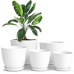 Utopia Home - Plant Pots with Drain