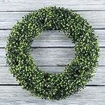 19.5-Inch Boxwood Wreath - Round UV