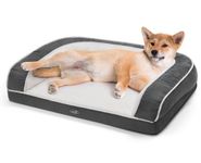 pecute Orthopedic Dog Sofa Bed (L 89 * 56 * 18 cm), Egg Crate Memory Foam Pet Couch Bed with 3 Sides Bolster for Good Support, Removable Washable Cover, Non Slip Base, Ideal for Medium Dogs & Cats