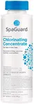 SpaGuard Spa Chlorinating Concentra