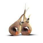 NEALEXKLUSIVE ® Home Decor Coir Craft Artificial Bird Nest for Wall Hanging or Garden Yard - Pack of 2