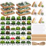 Treela 36 Pcs Succulent Cactus Candles Cactus Tealight Candles with 36 Organza Gift Bags and 36 Thank You Card Tag Cute Candles Gifts for Fiesta Christmas Birthday Wedding Party Favors