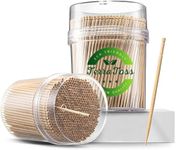 TerraToss Toothpicks Wooden | 2 Pack of 250 Toothpick Sticks | Reusable Container | Sturdy Smooth Finish Tooth Picks Sticks | Toothpick Wooden (250)