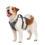 Huntboo Reflective Dog Harness with Handle, Escape Proof, No Slip, Breathable, Lightweight, Adjustable Lift Harness for Small, Medium, and Large Dogs Walking, Training, and Running Gear(Black,XS)