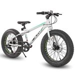 Hiland 20 Inch Kids Fat Bike, 7-Speed,Dual-Disc Brake, Kids Bike for Boys Girls