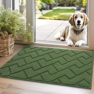 Biscpro Doormat Green 50 x 80 cm Indoor Outdoor Washable Entrance Rug Indoor Dirt Trapper Mat Non-Slip Door Mat Indoor Carpet for Entrance, Patio, Hallway, Garden