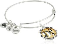 Alex and Ani Harry Potter Platform 