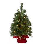 National Tree 24 Inch Majestic Fir Tree with 35 Battery Operated Warm White LED Lights (MJ3-24BGLO-B1)