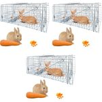 Proberos Live Animal Cage Trap One-Door for Rabbits Stray Cat Squirrel Raccoon Mole Release with Handle for Urban Wildlife Rescue 24x7x8 Silver 3 PCS