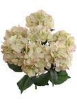 Hydrangea Silk Flowers Plant, Green Pink, Indoor Home Decoration, Outdoor Plant, Wedding, Centerpieces, Bouquets, Artificial Hydrangeas Bush with 7 Large Gorgeous Bloom Clusters, Leaves, Stems