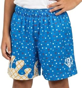 BL101 Youth Ice Cream Baseball Mesh Shorts for Boys - USA, YXL