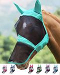 Harrison Howard CareMaster Pro Luminous Horse Fly Mask Large Eye Space Long Nose with Ears UV Protection for Horse-Summer Mint(M; Cob)