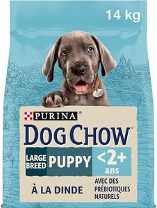 Dog Chow Purina Pienso para Perro de raza Grande Cachorro, Junior, Bebé con Pavo, saco de 14kg