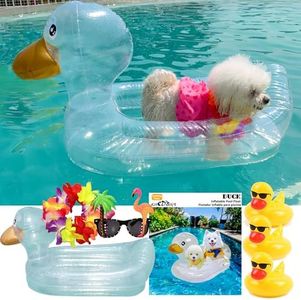 Dog Pool F