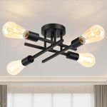 Ceiling Light Fixtures