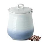 Hasense Ceramic Food Storage Jar, A