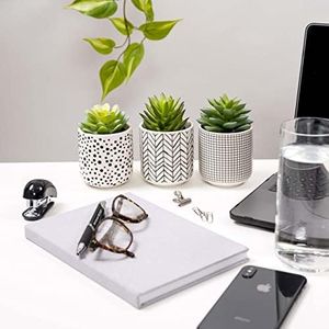 Set of 3 Artificial Succulents in pots | Black and White Ceramic pots with Faux Succulents | Plant Decor | Succulents Artificial for Home Decor Indoor 12 cm high