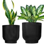 ecofynd 2 Pack Eva Metal Plant Pots (8 inch, 9 inch) | Indoor Planter Flower Pots with Drainage Hole | Home Garden Decor Planter for Living Room Bedroom Interior (Black Finish)