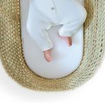 Clair de Lune 3D Mesh Breathable All Seasons Palm Moses Basket/Noah Pod® Mattress - 74 x 28 cm