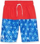 Under Armour Boys' Volley Fashion Swim Trunk