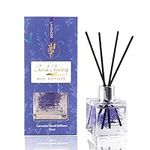 Seed Spring Reed Diffuser Set with 