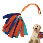 wodoca Interactive Dog Toys, Dog Rope Toys for Aggressive Chewers -Tough Rope Tug of War Dog Toys, Dog Tug Toy for Boredom for Small Medium Puppy Interacting Games (Orange)