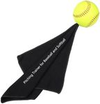 PitchingTraining Aid with12 Leather