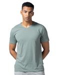 DAMENSCH Regular Fit Half Sleeve V Neck Tshirt Combed Cotton Blend Solid Lightweight Gold Finish Shine Softer Durable Casual Wear Lounge Wear Tshirt for Men-Lunar Grey-L