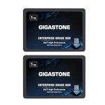 Gigastone Enterprise SSD 1TB SSD NAS Drive Cache (2-Pack) 24/7 Durable TLC High Endurance Business Server Data Center RAID Network Attached Storage Caching 2.5" SATA Internal Solid State Hard Drives