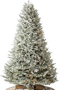 Balsam Hill Frosted BH Balsam Fir - Snow-Kissed Artificial Christmas Tree with True Needle Foliage and LED Clear Lights, 9'