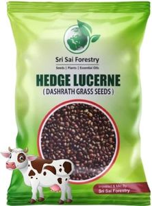 SRI SAI FORESTRY - Dasrath Grass Seeds for Animal Fodder, Hedge Lucerne Seeds 1000G - Velimasal Grass Seed - Dasrath Ghas Seed for Animal Fodder - Kudre Menthe