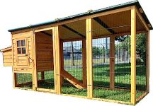 Eggshell Large XXL Buckingham 8ft Highly Pedator Resistant 3mm Welded & Coated Wire Chicken Coop Hen House Ark Poultry Run Nest Box Rabbit Hutch 2 to 4 birds NOW WITH FULLY COVERED ALL YEAR-ROUND RUN
