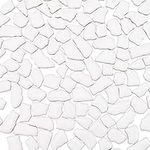 PH PandaHall White Mosaic Tiles for Crafts Bulk Irregular Ceramic Mosaic Tiles Pieces for Picture Frames, Plates, Flowerpots, Vases, Cups Mosaic Making, 0.88 Pounds