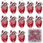 SUNNYCLUE 1 Box 30Pcs Heart Charms Bulk Alloy Anatomical Charms Red Enamel Metal Antique Silver Gothic 3D Organ Hearts Hollowen Charms for Jewelry Making Women DIY Necklaces Earrings Bracelets Crafts