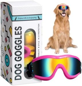 NVTED Dog
