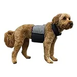 CoolerDog Dog Cooling Vest and Cool