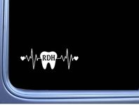 EZ-STIK RDH Tooth Lifeline M184 8 inch Window Decal Dentist Hygienist