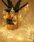 Homesake® String Lights, Rice Lights Star Lights 5M 14LED Indoor Outdoor Fairy Lights for Room Decoration, Diwali Decoration for Home, Party Decoration (Warm White), (Golden Leaf) Plug in 5 Meter