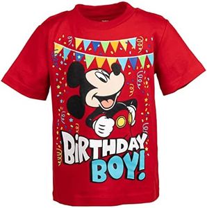 Disney Mic