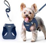 rabbitgoo Dog Harness Small Breed a