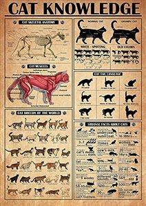 Pzecaru Tin Sign Metal Cat Knowledge Poster Cat Skeletal Anatomy Cat Muscles Cat Breeds Of The World Cat Information Cat Poster Metal Sign Vintage Wall Art Home Ofiice Bar Club Decoration 12x18 Inch