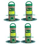 PAXI DAYA Window Bird Feeder Plastic Material Green Color Food Small and Medium Birds (Pack of 4)