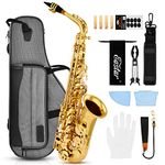 Eastar EAX-21, Alto Saxophone, E Flat Saxophone for Beginner Students Brass Sax Full Kit, Travel Bag, Foldable Stand, Cleanning Kit, Golden Lacquer