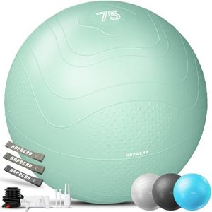 HAPBEAR Exercise Ball (22''/26''/30'') - Anti-Burst Slip-Resistant Yoga/Pilates Ball for Core Training & Posture Improvement, Home Gym/Rehab/Pregnancy Ball, Quick Pump & 3 Resistance Bands Included