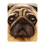 3D LiveLife Magnet - Pug from Deluxebase. Lenticular 3D Dog Fridge Magnet. Magnetic decor for kids and adults with artwork licensed from renowned artist, David Penfound