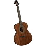 Coronet Acoustic Guitar