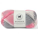 NESTNHAVEN, Wonder , Poly Yarn Supersoft Hand Knitting Wool Ball, (1 Ball/100 Gram Each) Ball Suitable for Craft, Crochet, Amigurumi, Embroidery, Toys, Garments, Flowers and Hobby Projects , 2 Fine , Shade no - NNHW (Multicolor 4)