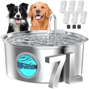 Pet Water 