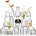 Arme 16Pcs Glass Bud Vase Set，Small